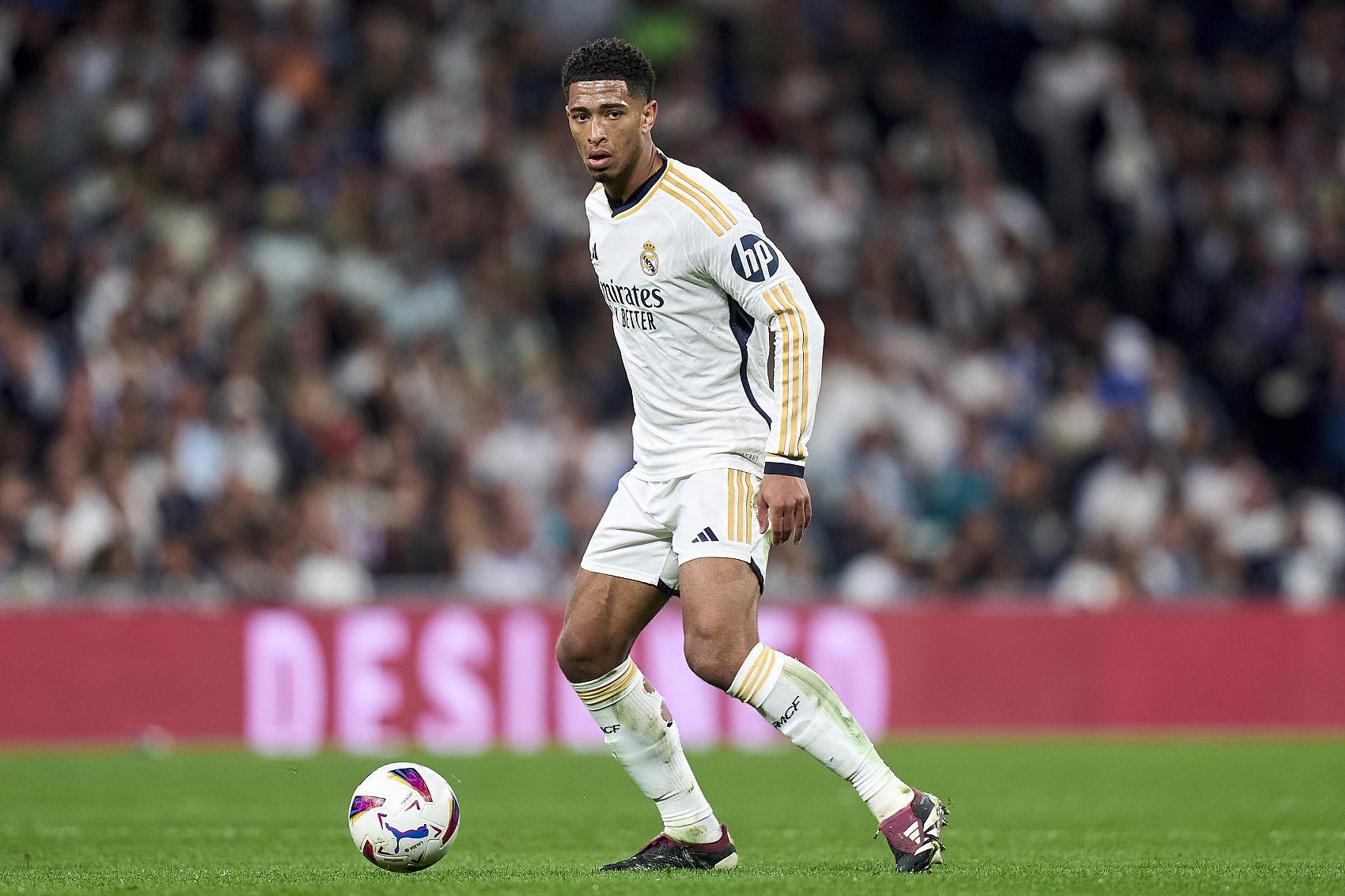 物用惊人的 物用惊人的