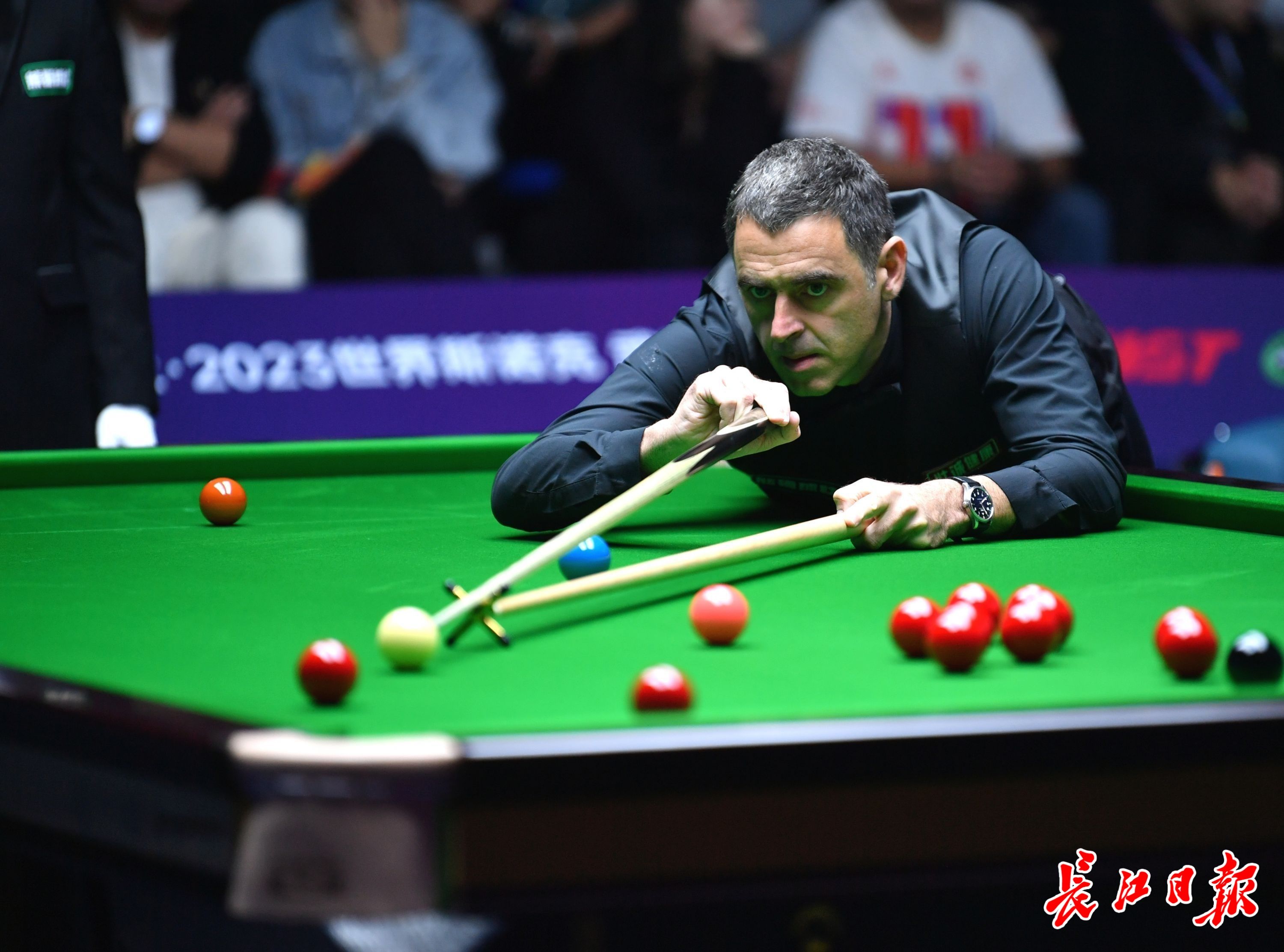 他曾参与多 他曾参与多