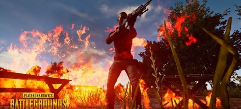 中选择了 中选择了