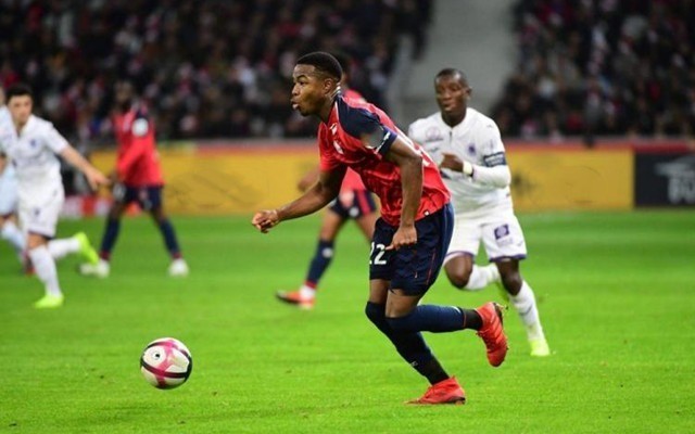 动队友的情 动队友的情